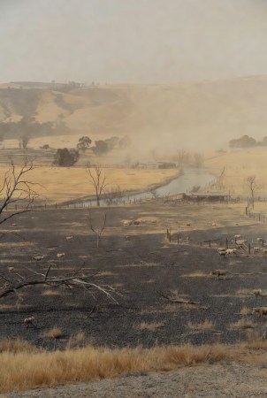 Claim: 99.999% of Climate Scientists Agree Australia was Cooler in the 1890s