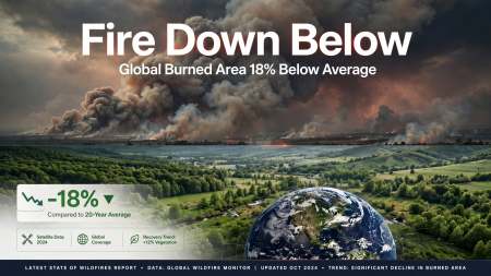 Fire Down Below. Latest State of Wildfires Report Finds Global Burned Area 18% Below Average